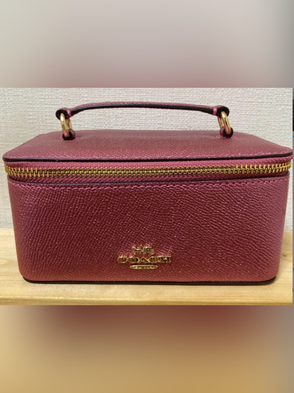 Coach Metallic Vanity Case NWT